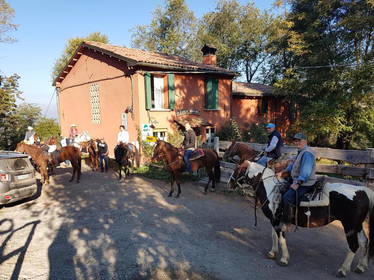 Villa Agriturismo Piccola Raieda Sasso Marconi Exterior foto